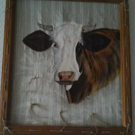 Chambres Et Table D'hotes Ferme Les Cigognes Bed & Breakfast Legeville et Bonfays